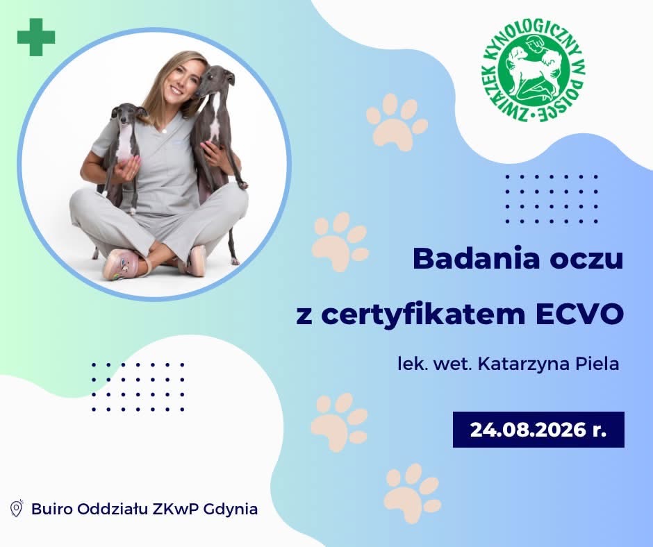 Badania oczu z certyfikatem ECVO